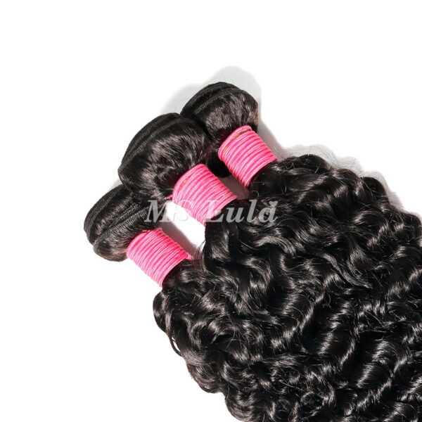 9A Water Wave Curly Human Hair Bundles - Image 9